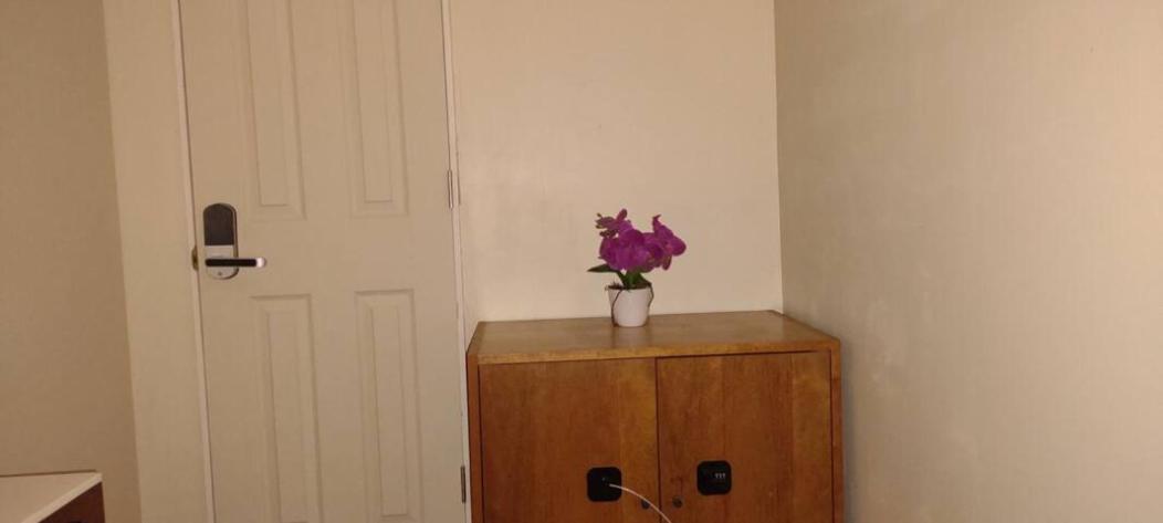& Affordable Williamsburg Small Accommodatie bij particulieren New York